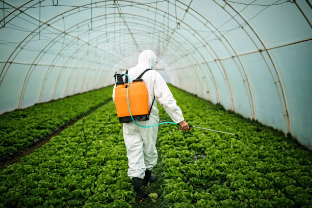Best Pest Control Near Me  in Mitchell, IL