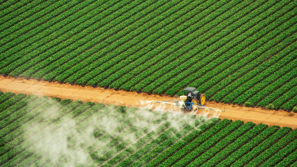 Best Pest Prevention Services  in Mitchell, IL