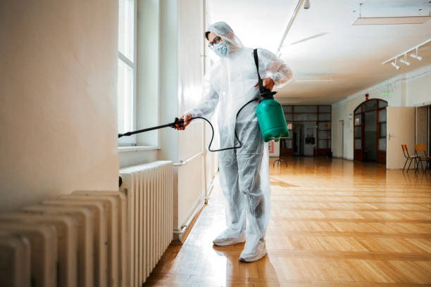 Best Termite Control Services  in Mitchell, IL